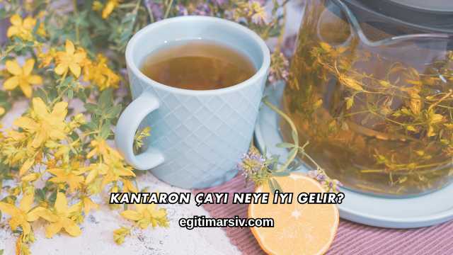 Kantaron Çayı Neye İyi Gelir?