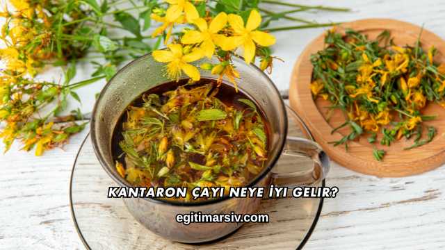 Kantaron Çayı Neye İyi Gelir?