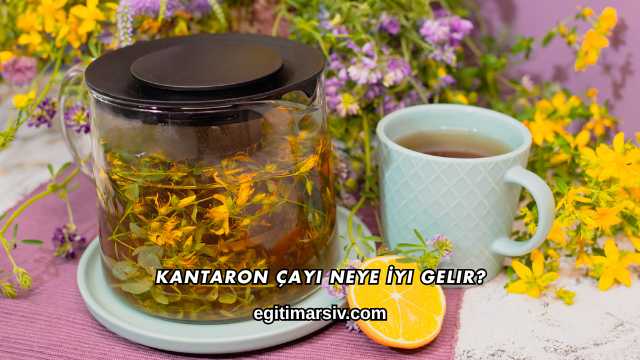Kantaron Çayı Neye İyi Gelir?