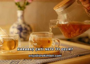 Karabaş Çayı Neye İyi Gelir?