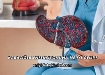Karaciğer Enfeksiyonuna Ne İyi Gelir?