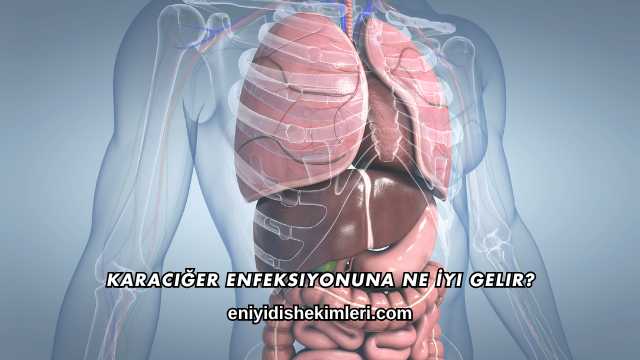 Karaciğer Enfeksiyonuna Ne İyi Gelir?