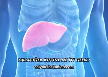 Karaciğer Kistine Ne İyi Gelir?