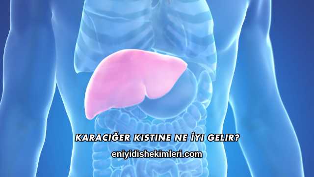 Karaciğer Kistine Ne İyi Gelir?