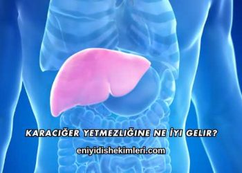 Karaciğer Yetmezliğine Ne İyi Gelir?