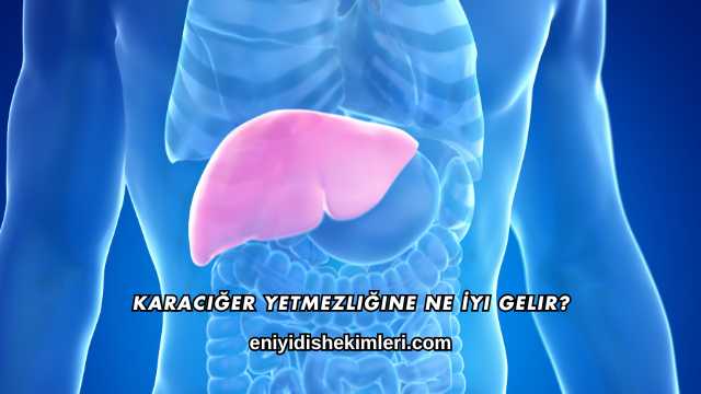 Karaciğer Yetmezliğine Ne İyi Gelir?