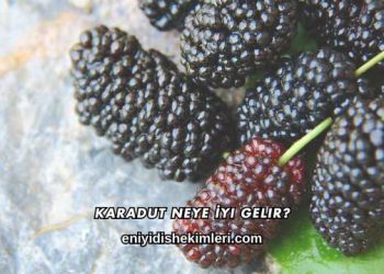 Karadut Neye İyi Gelir