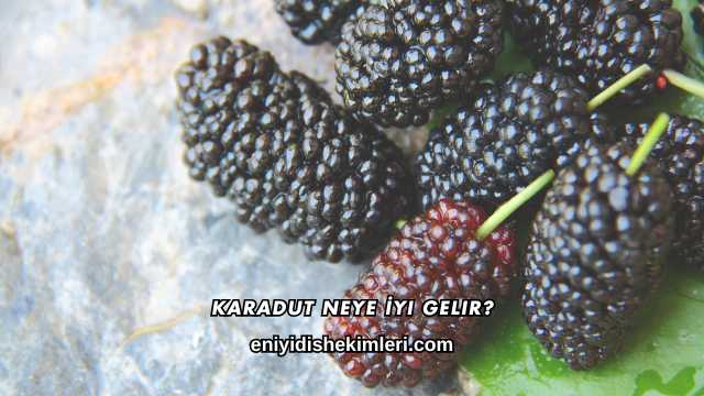 Karadut Neye İyi Gelir