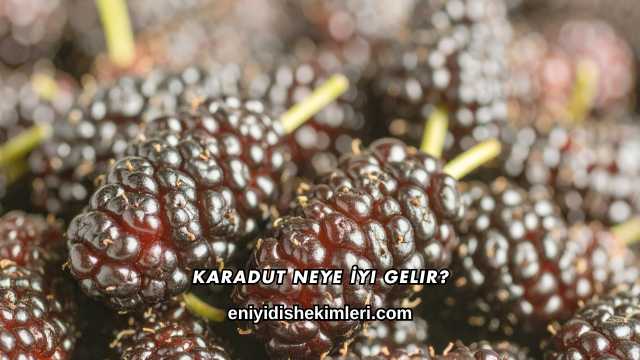 Karadut Neye İyi Gelir