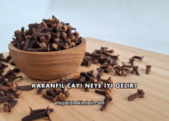 Karanfil Çayı Neye İyi Gelir?