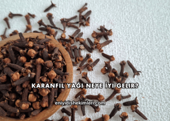 Karanfil Yağı Neye İyi Gelir?