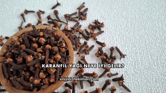 Karanfil Yağı Neye İyi Gelir?