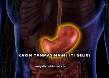 Karın Yanmasına Ne İyi Gelir?