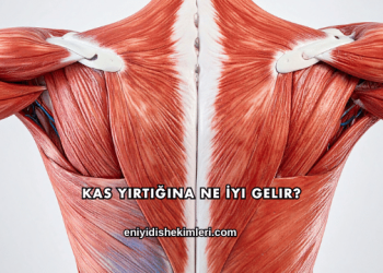 Kas Yırtığına Ne İyi Gelir?