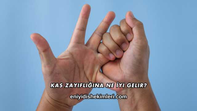 Kas Zayıflığına Ne İyi Gelir?