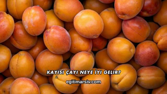 Kayısı Çayı Neye İyi Gelir?