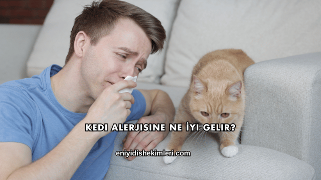 Kedi Alerjisine Ne İyi Gelir?