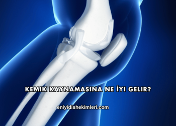 Kemik Kaynamasına Ne İyi Gelir?