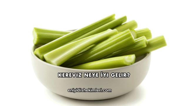 Kereviz Neye İyi Gelir?