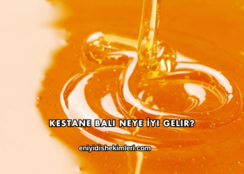 Kestane Balı Neye İyi Gelir?