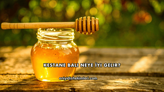 Kestane Balı Neye İyi Gelir?