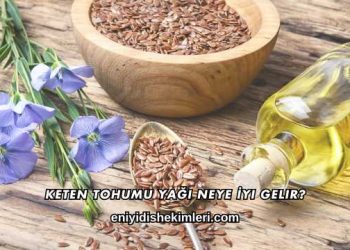 Keten Tohumu Yağı Neye İyi Gelir?