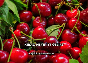 Kiraz Neye İyi Gelir?