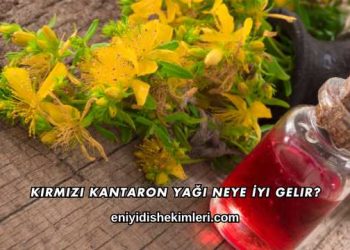 Kırmızı Kantaron Yağı Neye İyi Gelir?