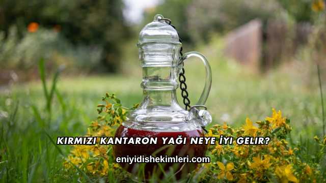 Kırmızı Kantaron Yağı Neye İyi Gelir?