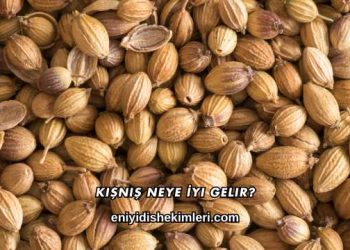 Kişniş Neye İyi Gelir?
