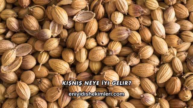 Kişniş Neye İyi Gelir?