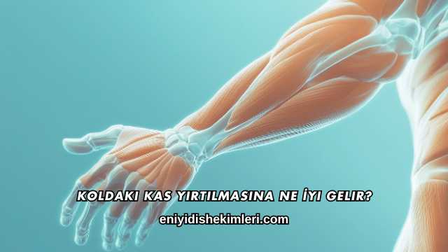 Koldaki Kas Yırtılmasına Ne İyi Gelir?