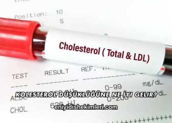 Kolesterol Düşüklüğüne Ne İyi Gelir?