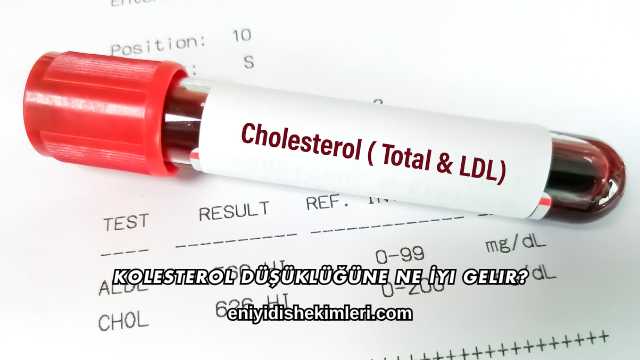 Kolesterol Düşüklüğüne Ne İyi Gelir?