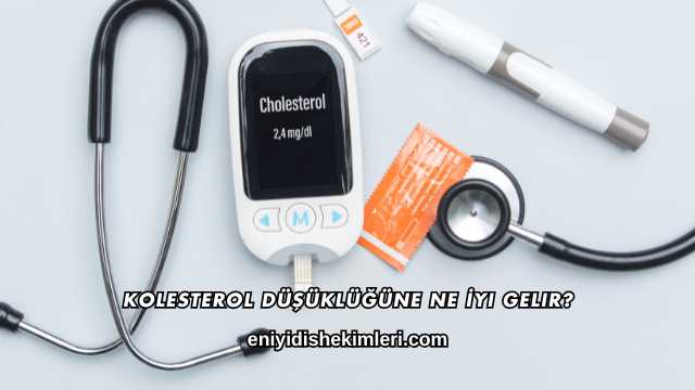 Kolesterol Düşüklüğüne Ne İyi Gelir?