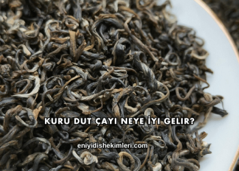 Kuru Dut Çayı Neye İyi Gelir?