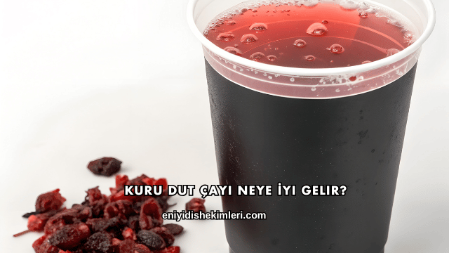 Kuru Dut Çayı Neye İyi Gelir?