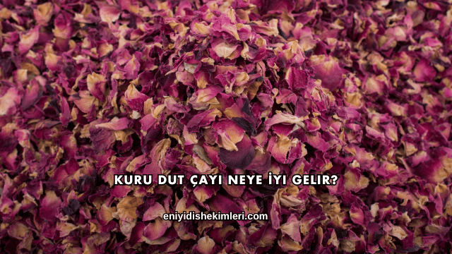 Kuru Dut Çayı Neye İyi Gelir?