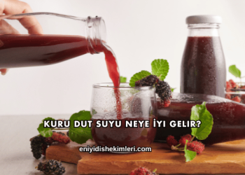 Kuru Dut Suyu Neye İyi Gelir?