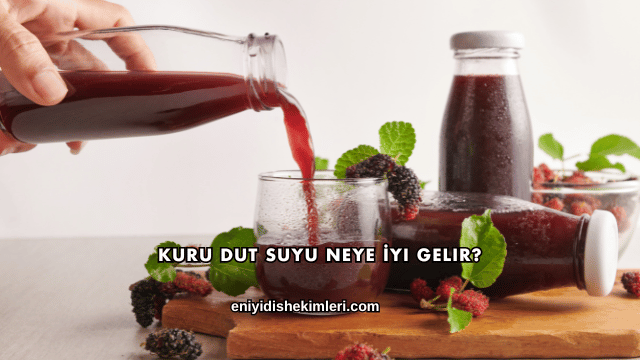 Kuru Dut Suyu Neye İyi Gelir?