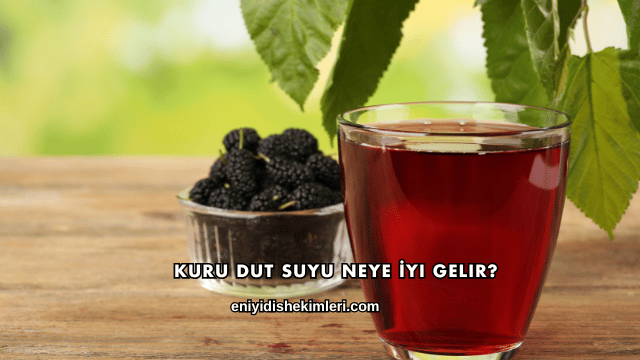 Kuru Dut Suyu Neye İyi Gelir?