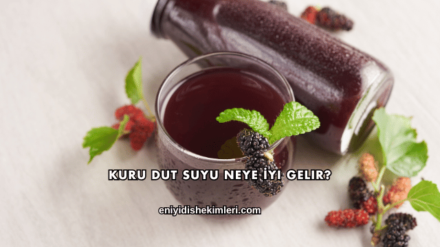 Kuru Dut Suyu Neye İyi Gelir?