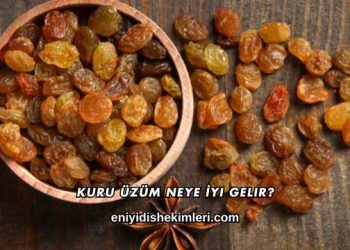 Kuru Üzüm Neye İyi Gelir?