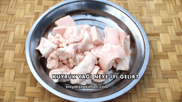 Kuyruk Yağı Neye İyi Gelir?