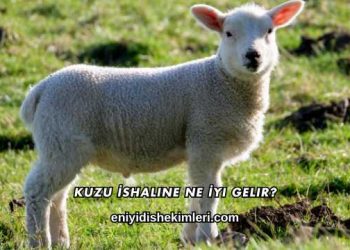 Kuzu İshaline Ne İyi Gelir?