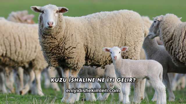 Kuzu İshaline Ne İyi Gelir?