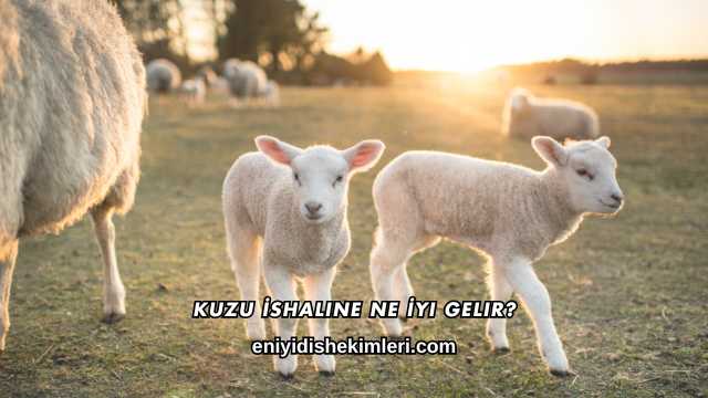 Kuzu İshaline Ne İyi Gelir?