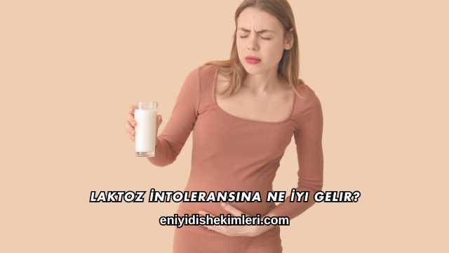 Laktoz İntoleransına Ne İyi Gelir?