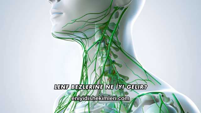 Lenf Bezlerine Ne İyi Gelir?
