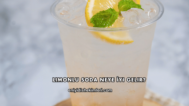 Limonlu Soda Neye İyi Gelir?